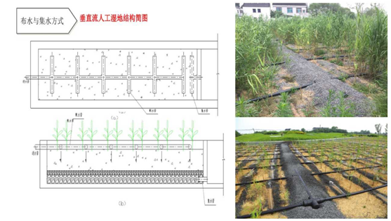 人工湿地示意图-2