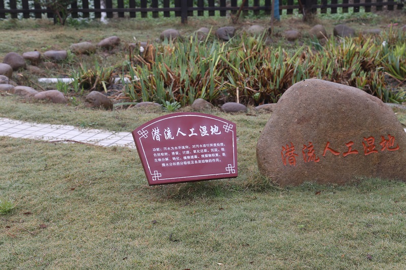 潜流人工湿地