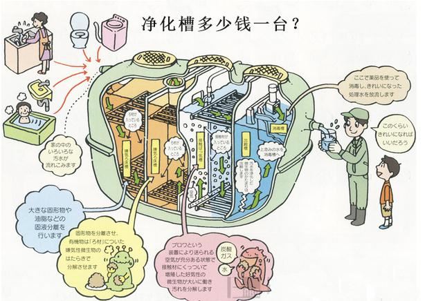 净化槽多少钱一台